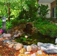 /album/photo-gallery-ammenities/koipond-jpg1/